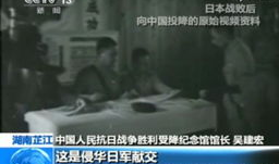 日本在线视频观看,揭秘热门内容与观众喜好